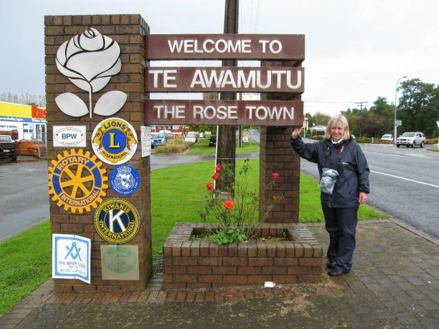 The Rose Town