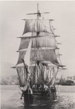 The Natal Queen owned by F W BELBIN