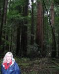 Gill in Muir Woods