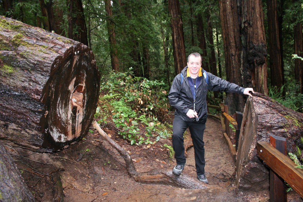 Terry in Muir Woods